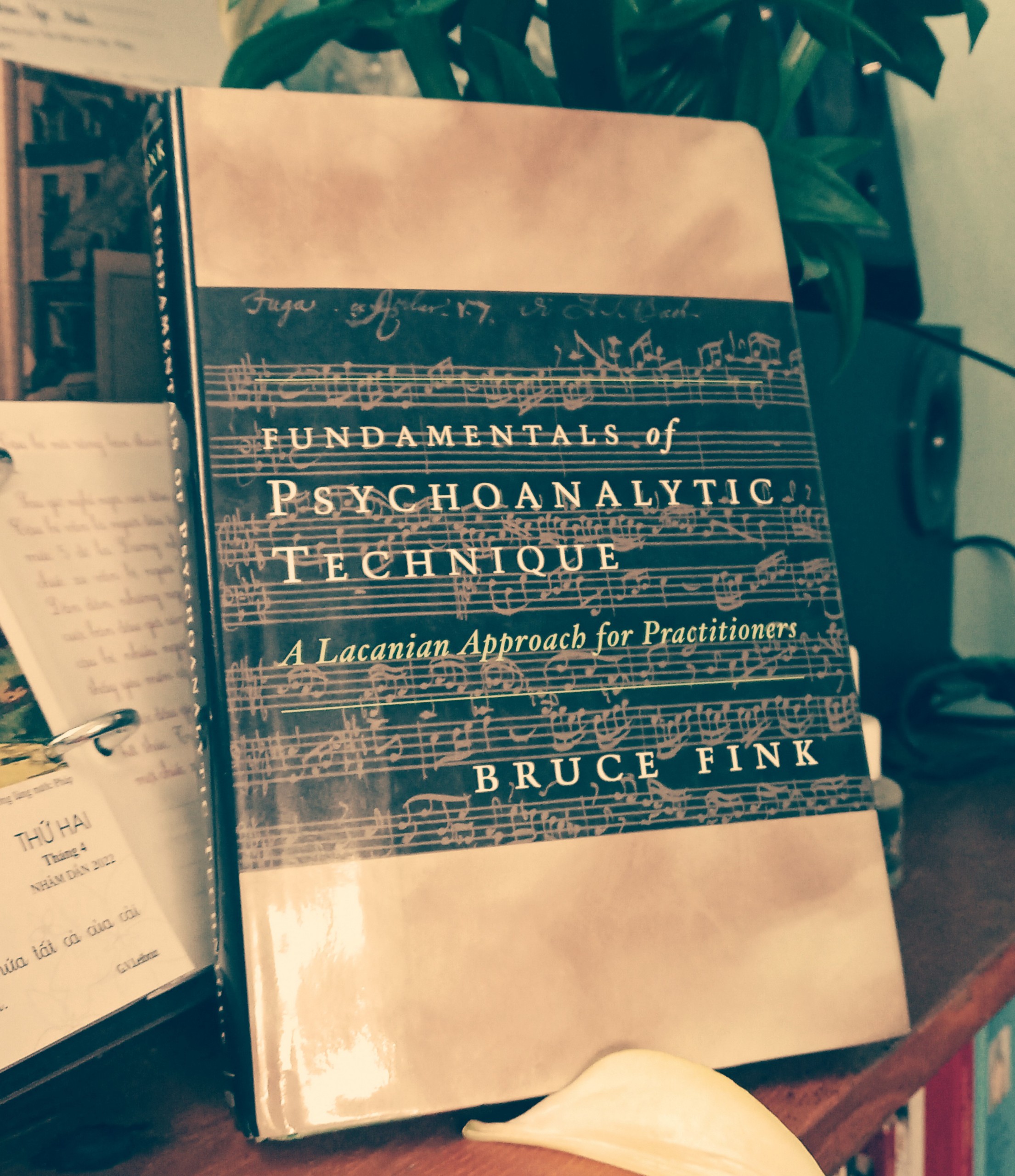 Fundamentals of psychoanalytic technique